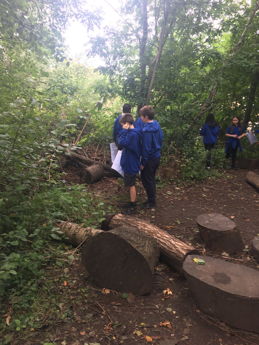 DMPrimary7's tweet photo. Tree identification #P6B #outdoorlearning https://t.co/M1AfQ1ifN8