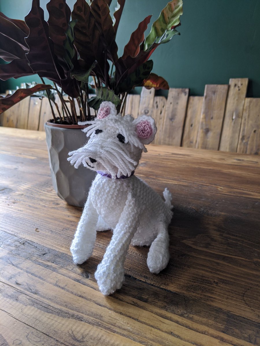 lilgremy's tweet photo. since I lost my job, I've started creating crochet plushies and pot holders! everything is made to order, so happy to make unique orders! my etsy shop is thecrochetgremlin so I'd appreciate a wee RT so I can pay my rent xxx https://t.co/pHHFOE2LOj