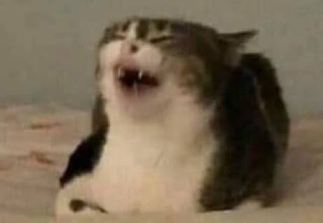 Yo viendo como Luisito comunica hace emputar a toda una generación pendeja y delicada jajaja