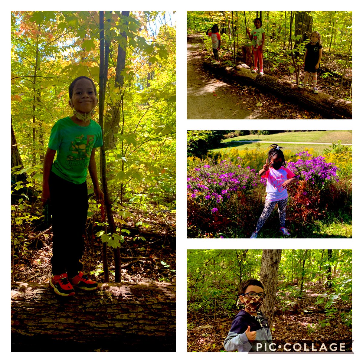 Today on our Science walk we saw so much more falling leaves and we discussed how the change in weather/seasons makes us feel! 

We also talked about the different reasons as to why some trees were on the ground
#ScienceOutdoors 🌲🍁🍃🍁
#OutdoorTalks🙌
#Grade1Rocks👍