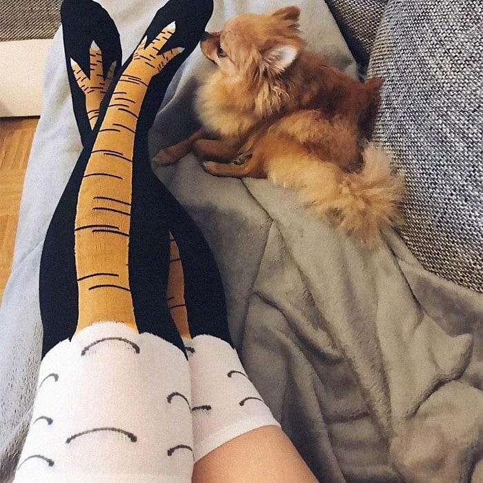 KevinRRollins's tweet image. 😍😍Check out these all New #1Rated Chicken Socks 🐔 🧦
bit.ly/2RkP9BT⬅️⬅️⬅️
#WednesdayThoughts
#Trump 
#WednesdayWisdom 
#socks