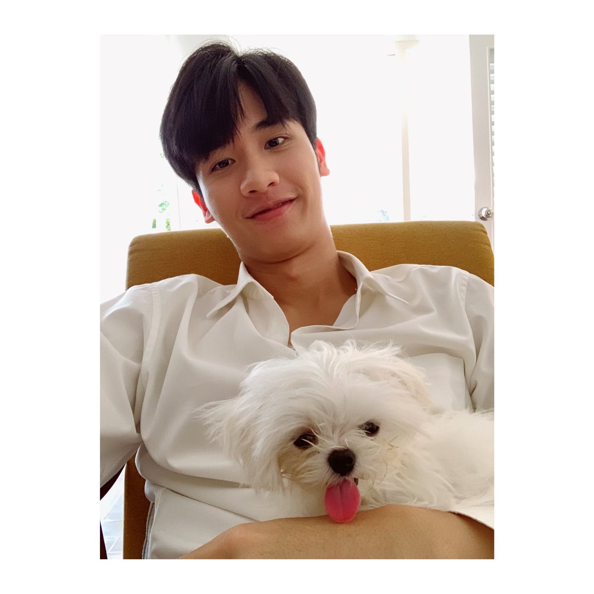 Day 151:  @Tawan_V this photo of you and bibii screams adorable. You're so cute together. Je t'aime  #Tawan_V