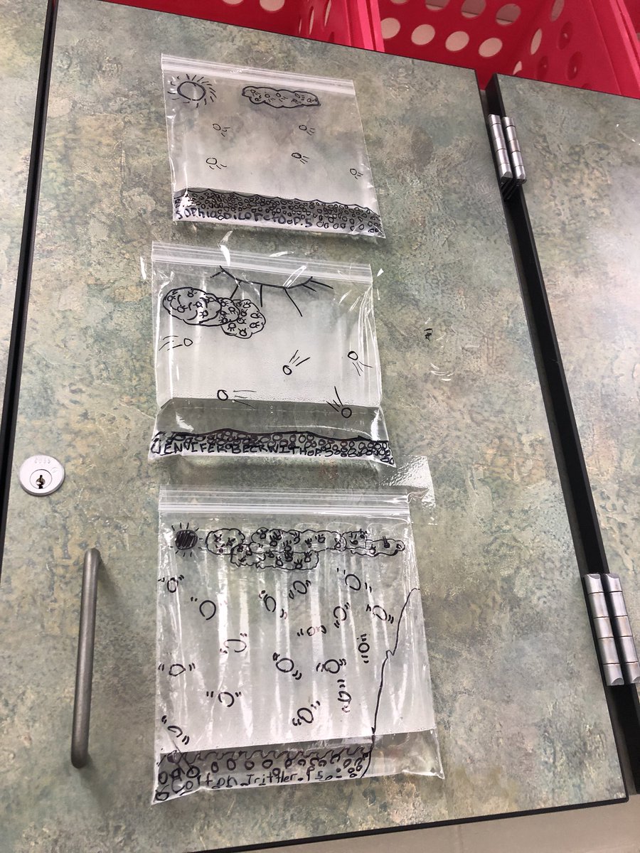 natscakes11's tweet image. We’ve got Science, yes we do!!! #cloudinabag #reviewingthewatercycle #scientificmodels #energytransfer #molecularmotion #settingupanexperiment @NNMSWildcats @CollierScience