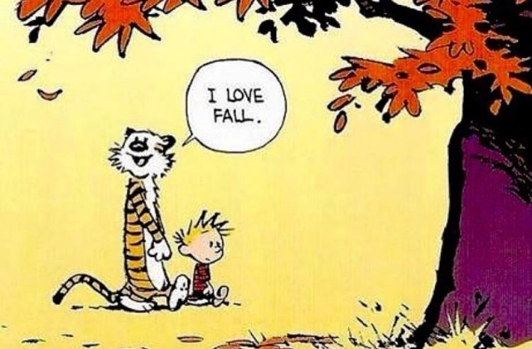 Calvinn_Hobbes's tweet photo. It’s Fall everyone! #CalvinandHobbes https://t.co/dKnLsx3PRY