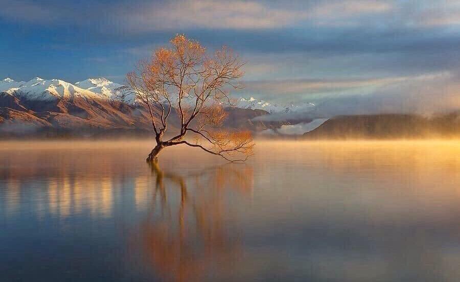 simpleisbeau's tweet photo. Thomas Merton
#thomasmerton #photography #art #fineart #photographyart #photoart #artist #teflection #photographer #photogallery #fineartphotography #artgallery #photooftheday #magnumphotos #artwork #artlovers #artoftheday #artistic #sunset #orange #simpleisbeautifulphotography https://t.co/rRVamdvCLE