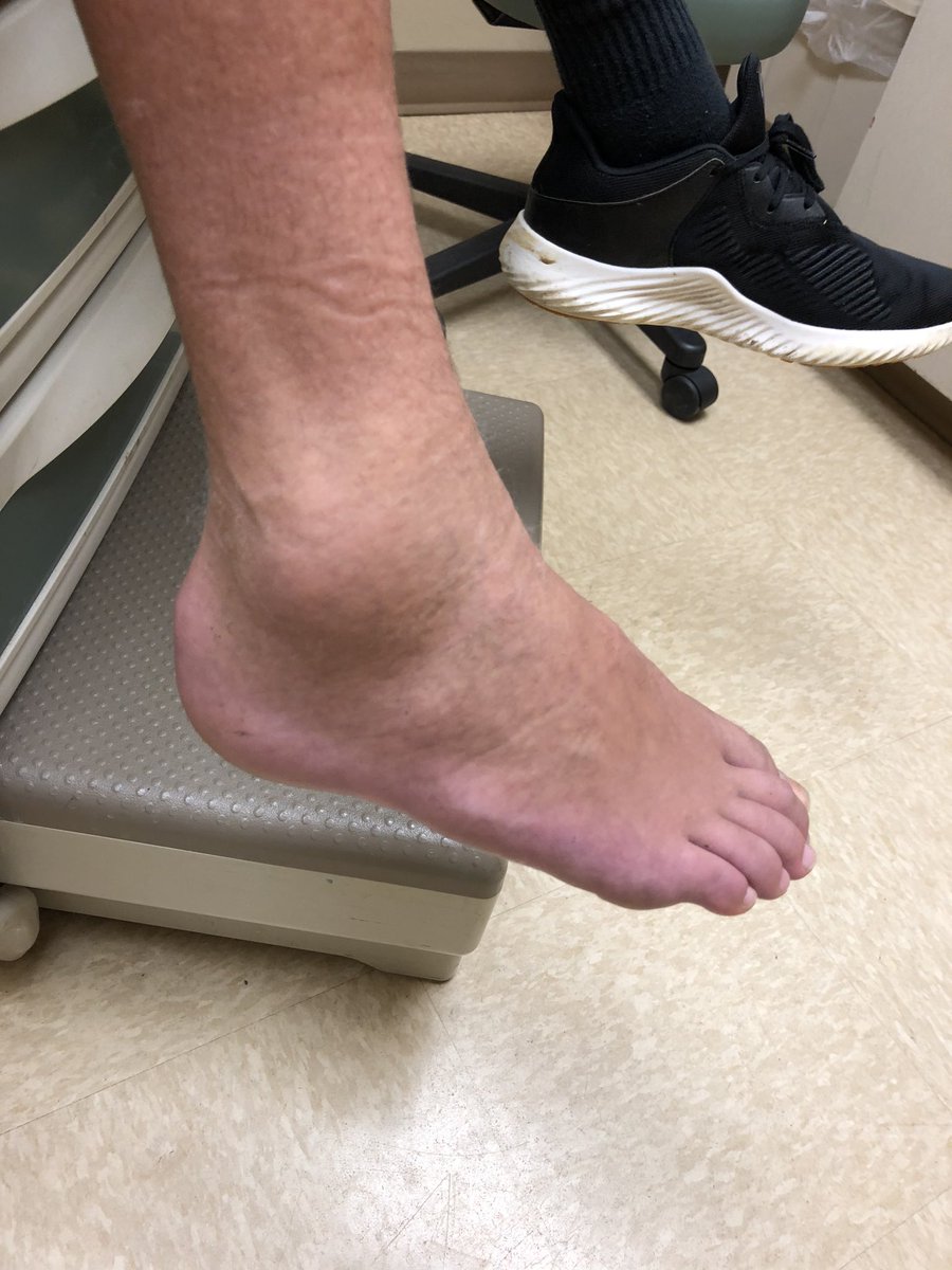 Jenny M Bilotta tweet media