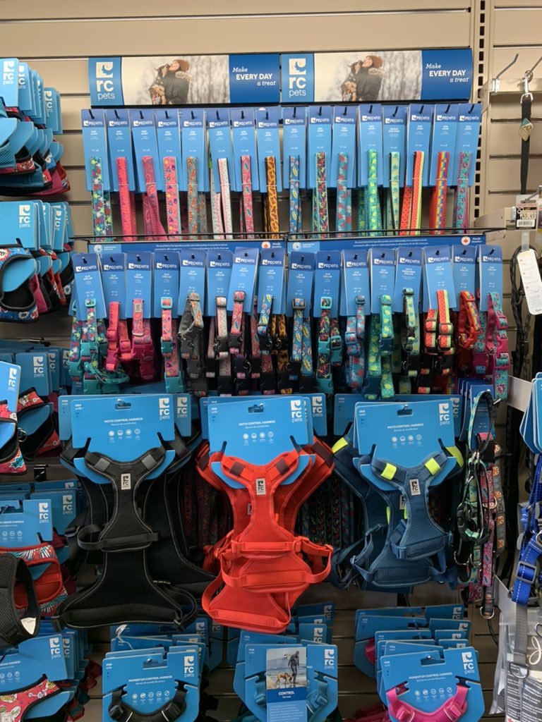 TheHOT1055's tweet photo. Look at these adorable RC Pets water resistant dog ponchos Global Pet Foods Charlottetown has in stock! 🐶 
They also have hoodie and lighter fabric styles too. 
If you’re getting them a jacket, you have to get a matching leash. Dogs like fashion too! 🐩 #ShopLocalBuyPEI https://t.co/eb4oasJOhI