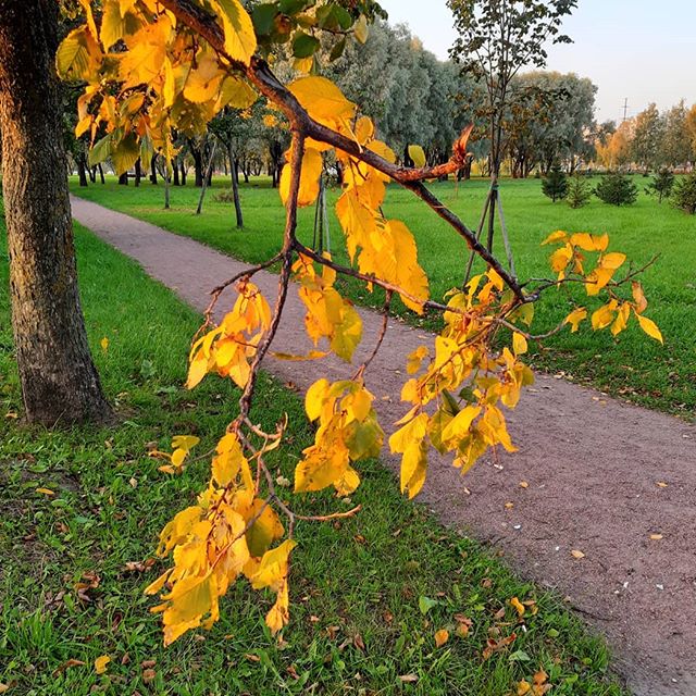 Andrey Tarlanov (@5baksov) on Twitter photo 