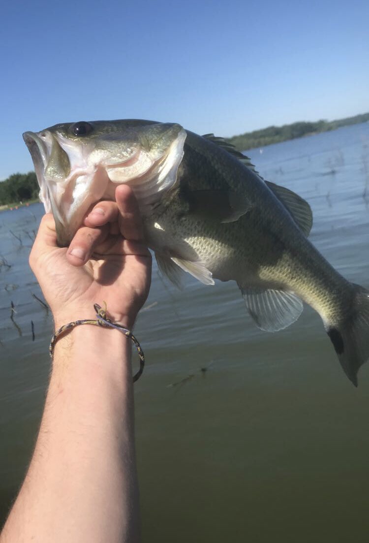 jscott3705's tweet photo. Toad in the timber🎣🐸 favorite
#favoriterods
@FavoriteRodsUSA
#favoriteusa
#teamfavorite
#favoritefishing
#sickstick
#wootungsten
@TungstenWoo
#wootungsten
#fishingisacontactsport https://t.co/Yw6T4xxSSm
