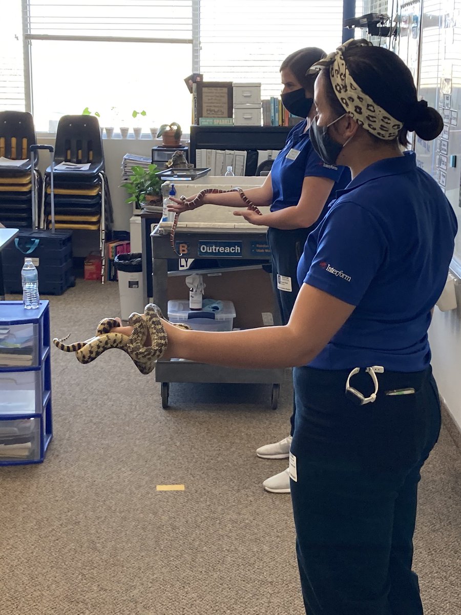 EntheosUT's tweet photo. Thank you @LivingPlanetUT for visiting our 4th graders to give them a hands on opportunity to learn about Utah’s ecosystems and the animals that live in them. #HandsOnLearning #LearningWithMasks #ExpertsInTheClassroom @ELeducation https://t.co/nsYh4iJ954