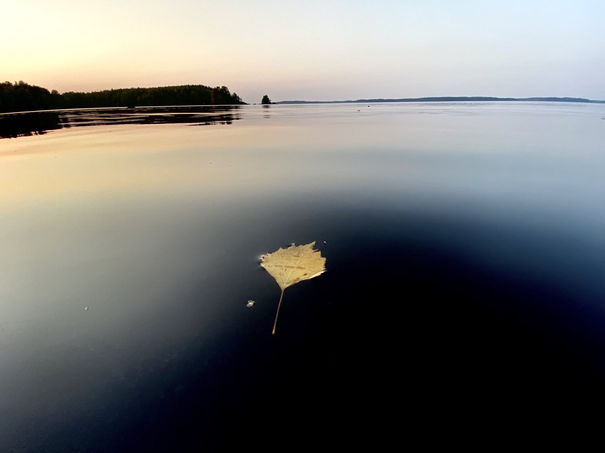 YrjoAho's tweet photo. Ei ole #juhannus on kohta #lokakuu #Saimaa #Saimaankaupunki #Tiuru #Valkama #rantasauna #vieneelotono https://t.co/ZxjuuXdYU1
