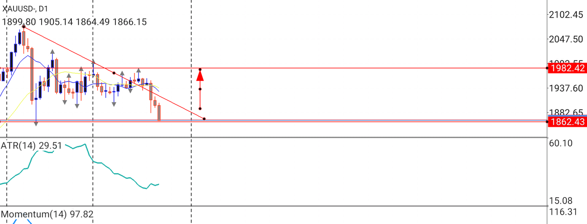 Rod Rieta tweet media