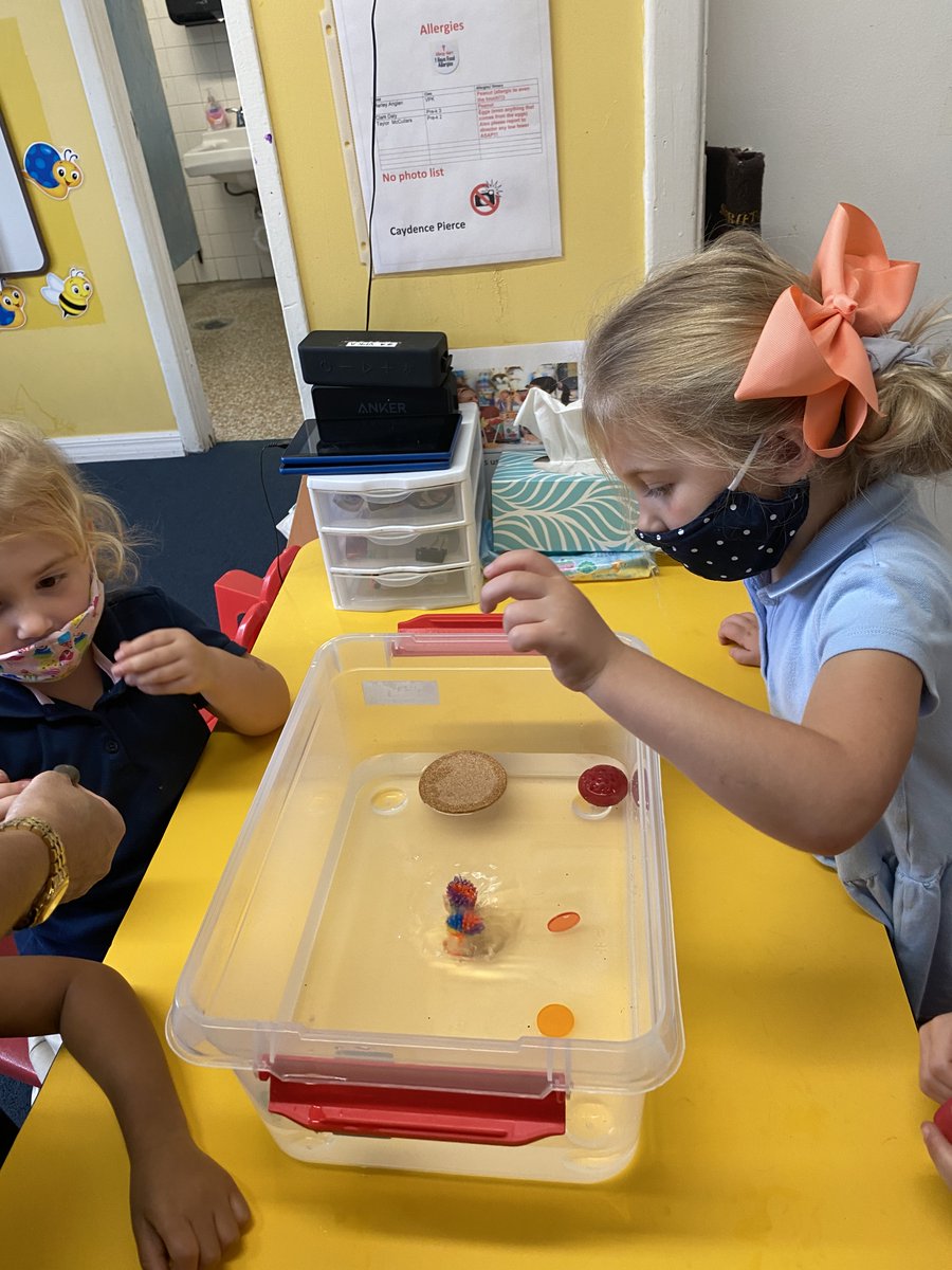 suncoastacademy's tweet photo. What types of things from our classroom will float? And what will sink? #VPK #science #earlychildhoodeducation #preschool #tampa #southtampa #tampabay #welovelearning #weloveourstudents 💖🌞 https://t.co/MGvwSwXpK2