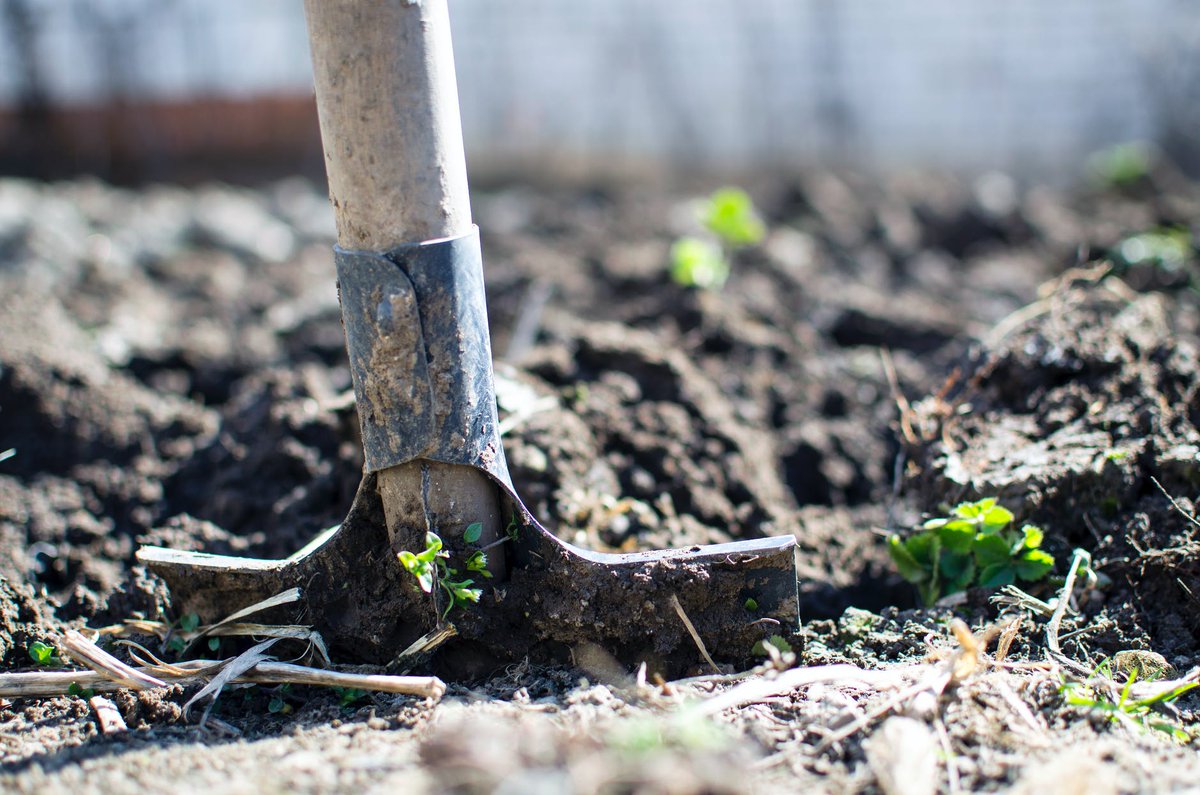 agrowareLATAM's tweet photo. Para poder tener cultivos sanos y fuertes es necesario cuidar cada detalle y uno de los más importantes es los suelos donde se desarrollarán🌿👩‍🌾
https://t.co/dfD4Lu33SQ https://t.co/w2cABu6bHk