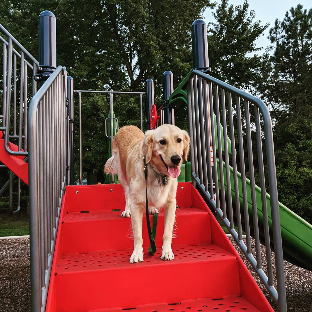 The #ebtbmascot has given his stamp of approval for the design of his new favorite playground!
