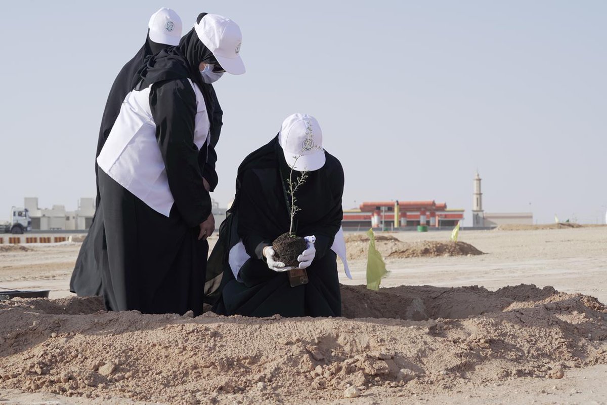 Amanatalriyadh's tweet photo. أكثر من ٥٠٠ متطوع ومتطوعة يشاركون في فعالية "يالله نزرع" في وادي السلي بتنظيم من #أمانة_منطقة_الرياض ضمن فعالياتها الاحتفالية بـ #اليوم_الوطني_الـ٩٠..
#همة_حتى_القمة https://t.co/ulElTbfvyk