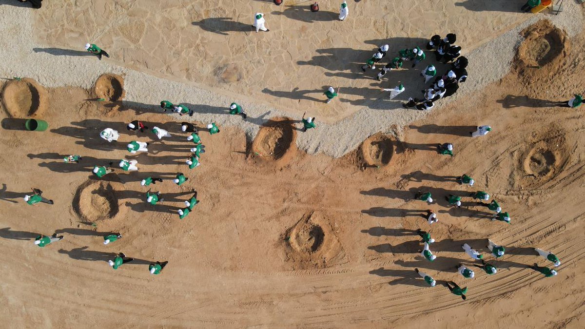 Amanatalriyadh's tweet photo. أكثر من ٥٠٠ متطوع ومتطوعة يشاركون في فعالية "يالله نزرع" في وادي السلي بتنظيم من #أمانة_منطقة_الرياض ضمن فعالياتها الاحتفالية بـ #اليوم_الوطني_الـ٩٠..
#همة_حتى_القمة https://t.co/ulElTbfvyk