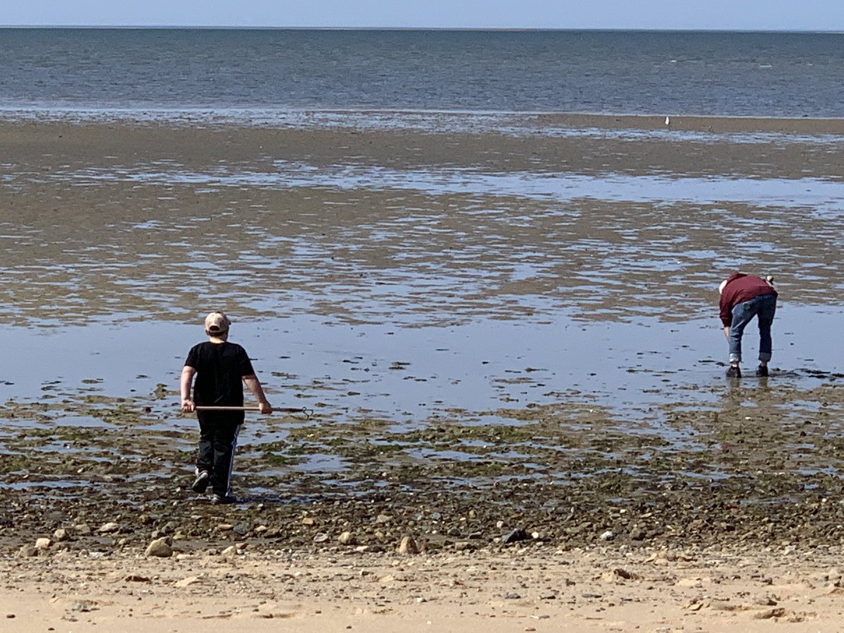 capeliad's tweet image. Day four. Liam James McCarthy went a diggin for some clams.