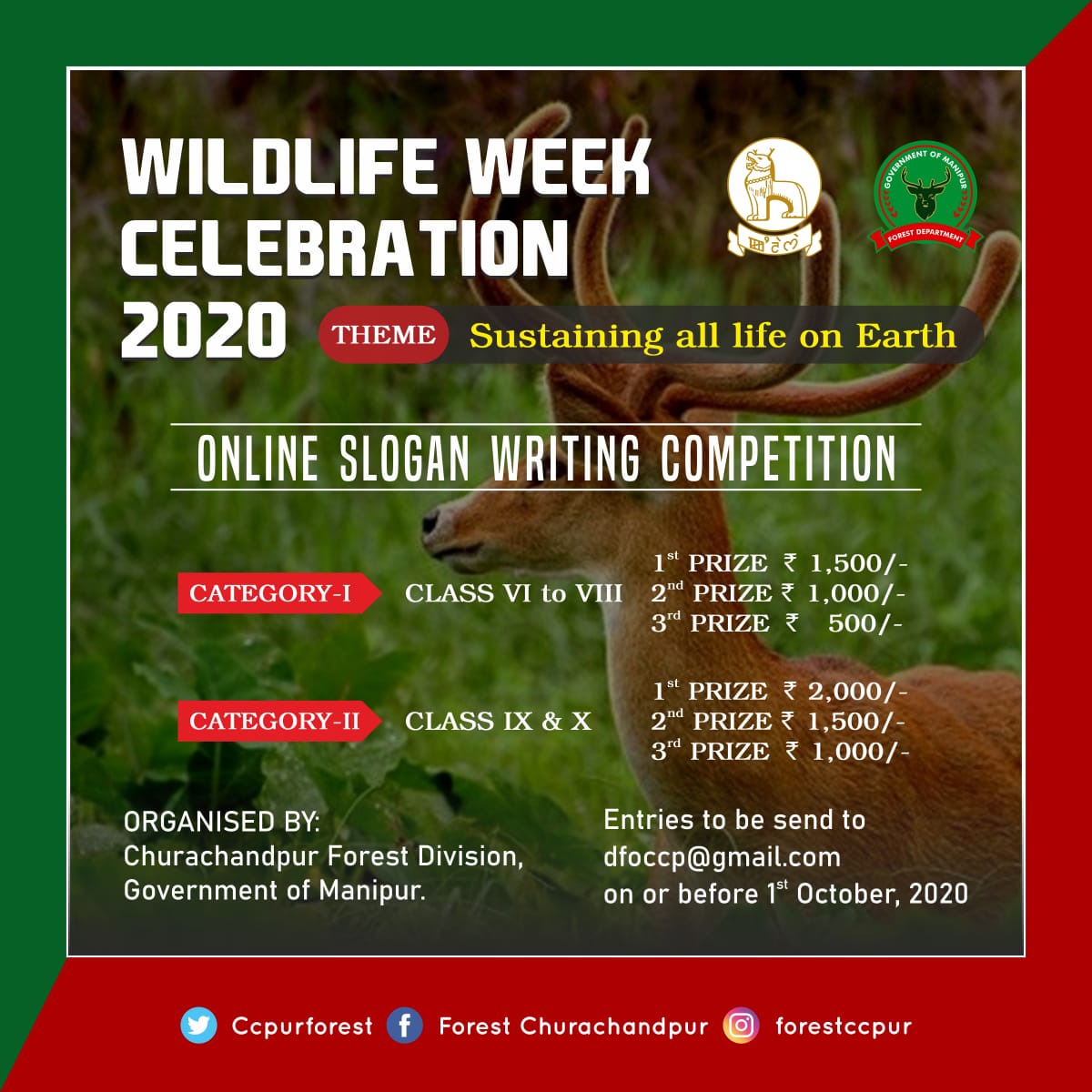 Churachandpur Forest tweet media
