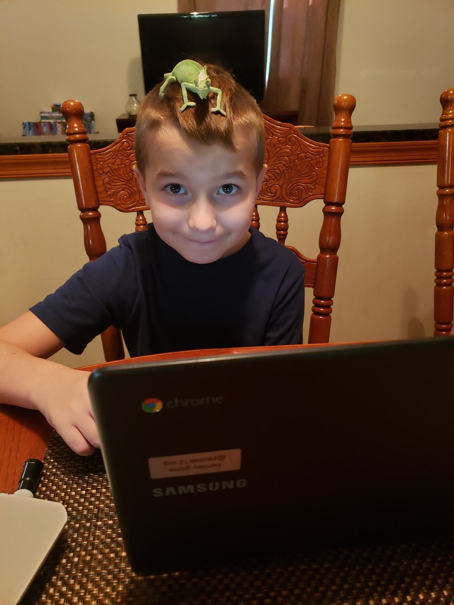 PrinceEdwardSch's tweet image. We love animals! Bring your pet or stuffed animal to zoom with you - day is a hit! #eaglepride #virtualspiritweek