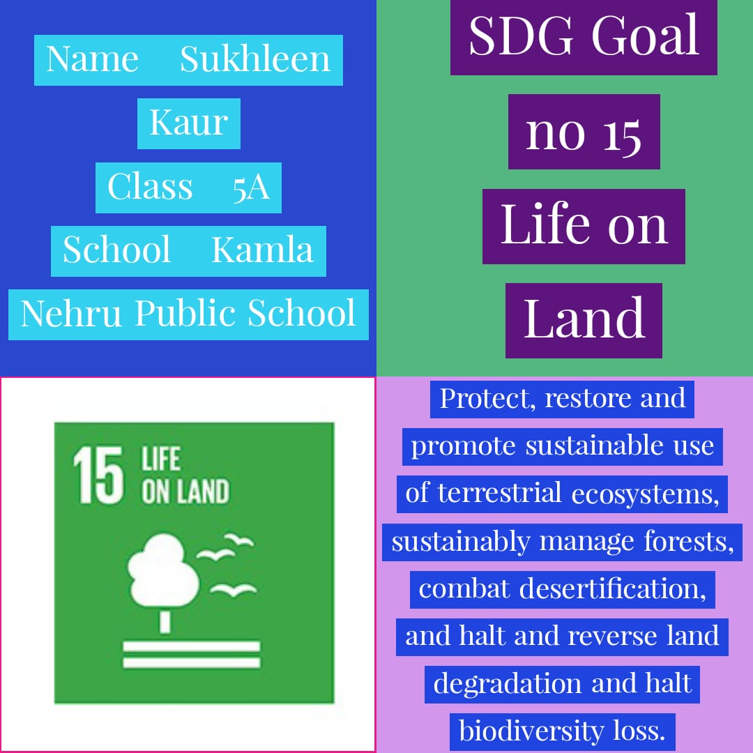 Knps students of class 5, sharing different SDGs through digital &amp; hand made postcards. <a href="/knpsIndia/">KNPS Phagwara India</a>  <a href="/sdgchoupal/">@sdgchoupal #CollectiveSDGAction</a> <a href="/SDGaction/">UN SDG Action Campaign</a>
 <a href="/edu_sdg/">SDGEduChoupal @sdgchoupal</a> #Act4SDGs #TurnItAround #ForPeopleForPlanet <a href="/knpsindia/">KNPS Phagwara India</a> <a href="/pkdhillon08/">ParamjeetKaurDhillon</a> <a href="/riseup4sdgs/">SDG's : The Rising</a> <a href="/naveenkseth_k/">Naveen K Seth</a>