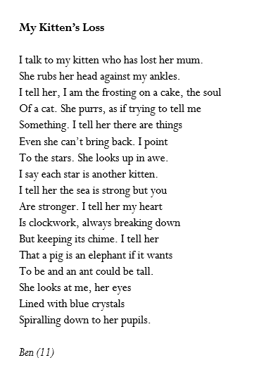 I've absolutely had enough so I'm putting up the kitten poem. Ben was 11.