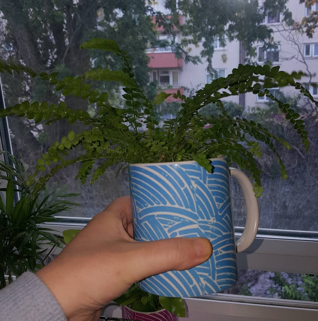 CRedbubble's tweet photo. Classic mugs are available in my shop https://t.co/WlP0WCqAde
They can have an alternative use to coffee ;-)
#classicmug #ceramicmug #mugs #mug #designedcups #designedmug
#redbubble https://t.co/XeHp6cNl2R