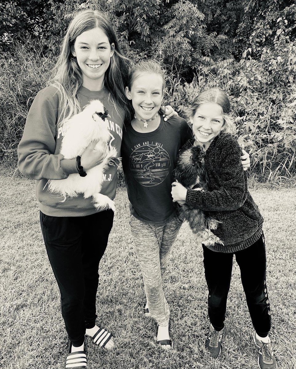 A welcome to the 3FS family - Anelka and Solskjær! 🐔
@nicoanelka39 
@manchesterunited 
📸: <a href="/krislpatton/">Kris Patton</a> 
•
#football #footballlife #soccer #rooster #roosters #pet #animal #soccerlife #sistersister #sister