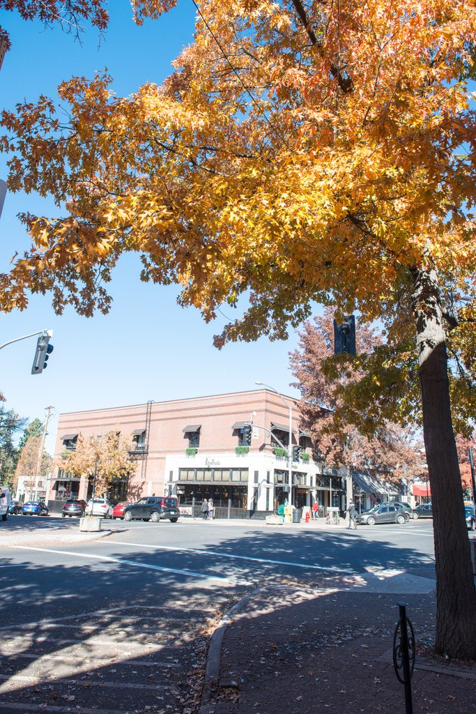 DowntownBend's tweet photo. Beautiful Downtown Bend
Photo Credit: Miguel Edwards Photography
.
.
#downtownbend #downtownbendor #inbend #inbendoregon #bend #bendoregon #centraloregon #oregon #visitbend #inbend #bendlife #centraloregonlife #pnw #bendor #visitcentraloregon #bendlocal #inbendoregon https://t.co/zrlimfJwNp