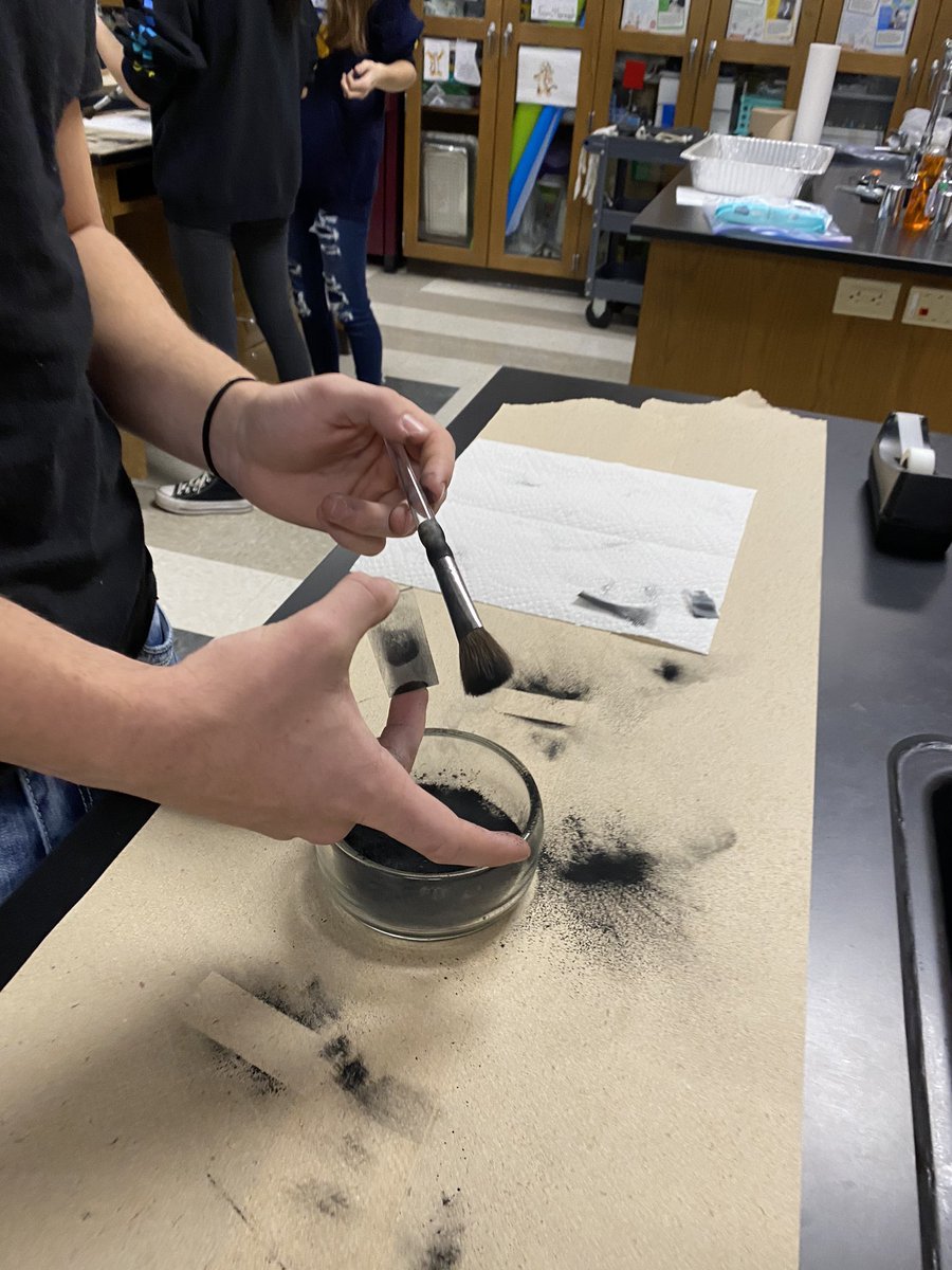 MHeimScience's tweet photo. Fingerprinting in Biology 2! #HeimCPBio2 https://t.co/2w5W8RGovX