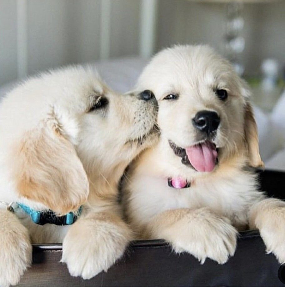 someone tell me if this pic is real. my brain is saying fake, but it’s getting added to the thread anyway ¯\\_(ツ)_/¯