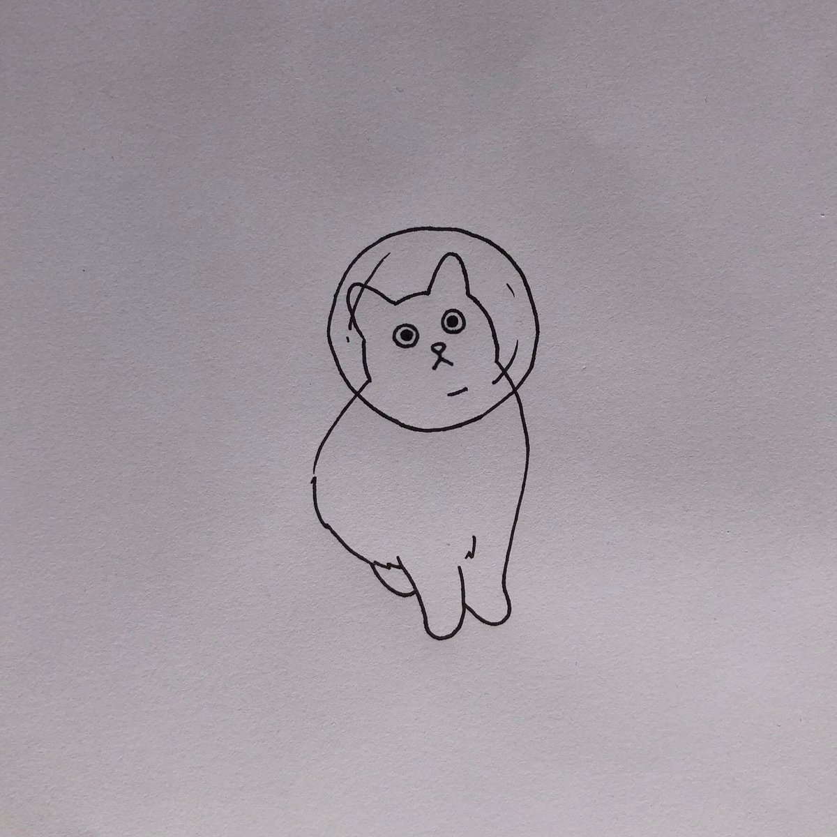 poorly drawn cats (@poorlycatdraw) on Twitter photo 2020-09-23 16:55:38