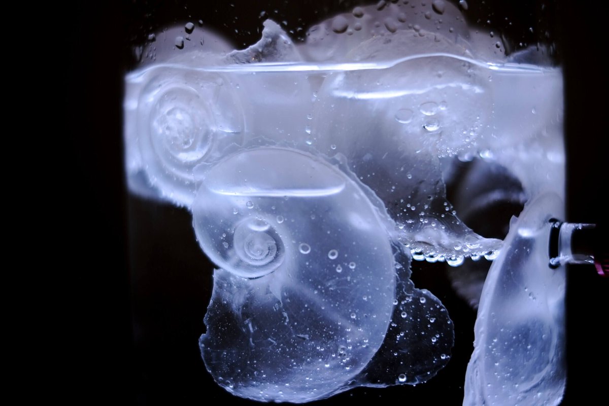 How do we make sense of the future in the face of climate change? <a href="/notluishernan/">Luis Hernan</a> and myself explore this in Whisper Drifter Trickster as we propose to understand planktonic snails as oracles, divining the future of ocean acidification <a href="/FestivalMind/">Festival of the Mind</a> buff.ly/2Ev8xcG