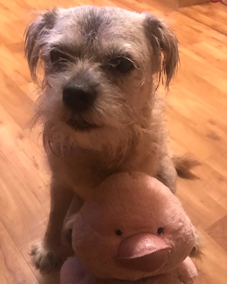 girlytheborder's tweet photo. Me and my pinkie duckie! #friendies 🦆❤️ https://t.co/omtUHxZzQO