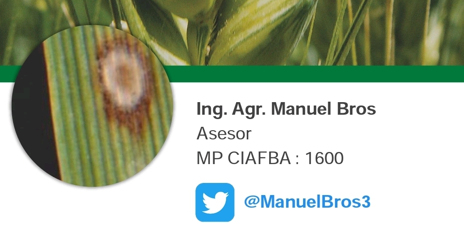 colo476's tweet photo. Próximo Informe 20/10. 

@BASF_Agro_ARG
#BASFinformes

https://t.co/VFl1e3118x https://t.co/rgbK2zyCQ8