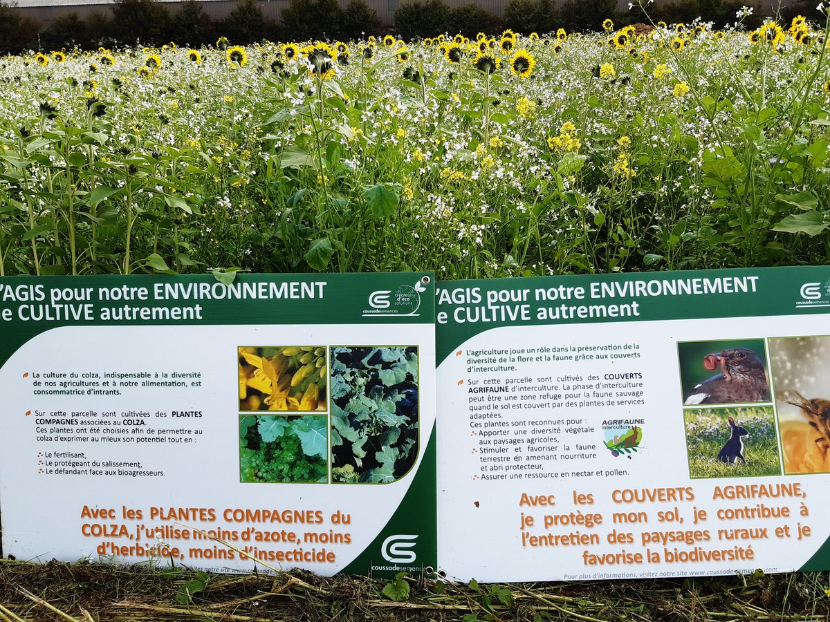 DOUAR APPRO tweet media