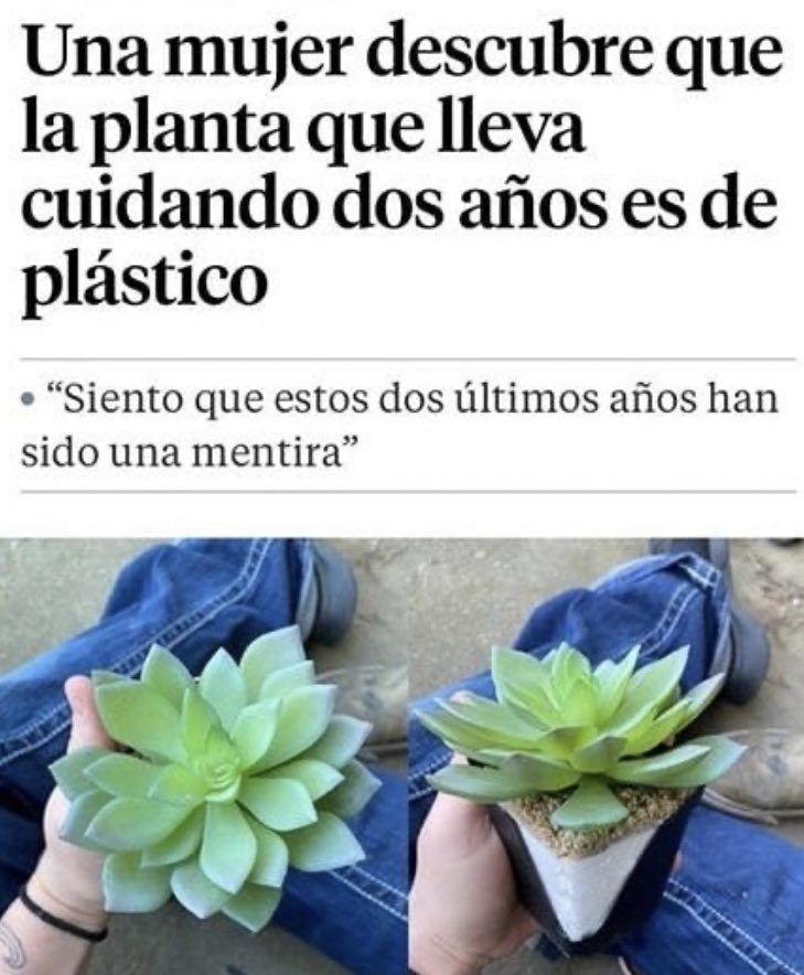 lu (@bokatax) on Twitter photo 