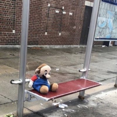 matthewscheerer's tweet image. #NewProfilePic