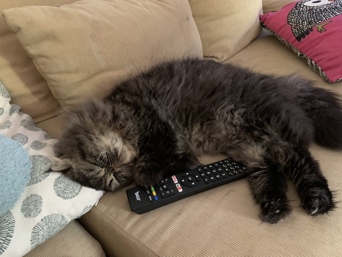 tizzleminizzle's tweet photo. cheddar // cheddar https://t.co/jZp14BWuJu