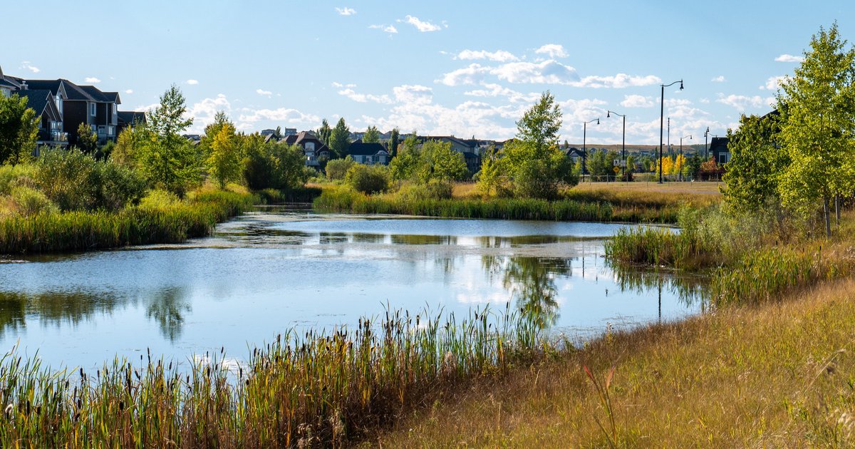 Peaceful morning views in Cimarron Estates

#cimarronestates #cimarron #okotoks #okotoksliving
#yychomebuilder #madisonavenuegroup