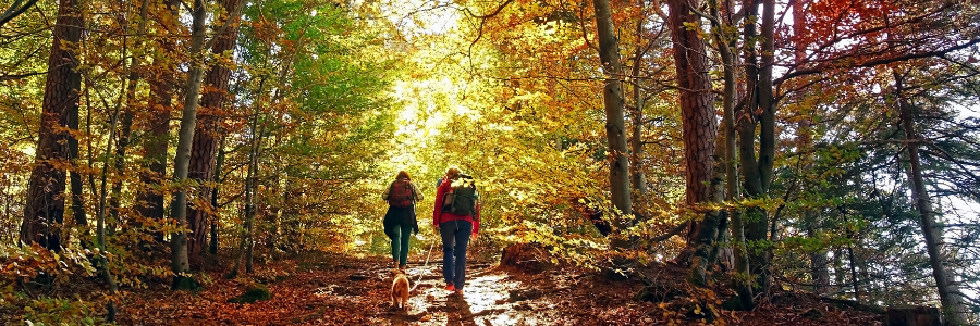 Do you need a break from your laptop? A great way to clear the mind is to take a hike in nature. Join us at 12:30 p.m. on Thursday, September 24 for Les bases de la randonnée, in French. Register today at ow.ly/P2hm50BxjCf #hiking #safehiking <a href="/RideauTrail/">Rideau Trail Assoc.</a>