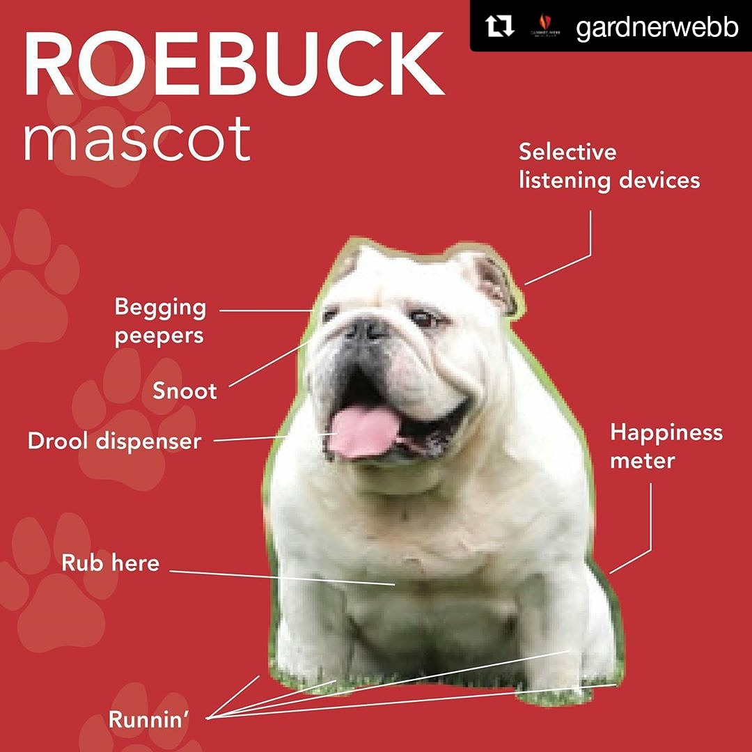 BigSouthSports's tweet photo. DYK: Roebuck deserves ALL the pets! 😍

#GWUWeek https://t.co/tW8WoOTRQL