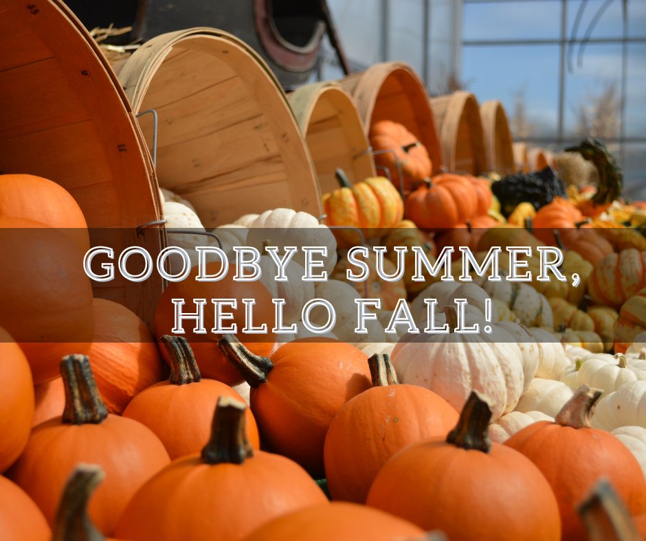 The days are shorter and the nights are chilly - fall is officially here! What's are some of your favourite fall activities? Tell us in the comments below 👇