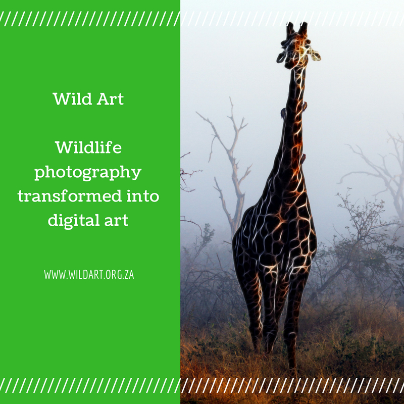 Unique artworks for businesses, guest houses, game lodges, consulting rooms and stylish dwellings.
wildart.org.za
#birding