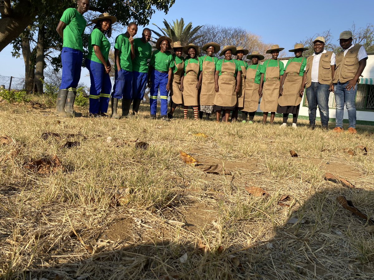 Proud to launch our newest nursery in Byo in partnership with ADRA Zimbabwe, Spinyard ADRA Woodville. 4 years ago after losing my job never thought I would be a direct employer of 70 countrymen today! For orders call Phatsimo 0777611817