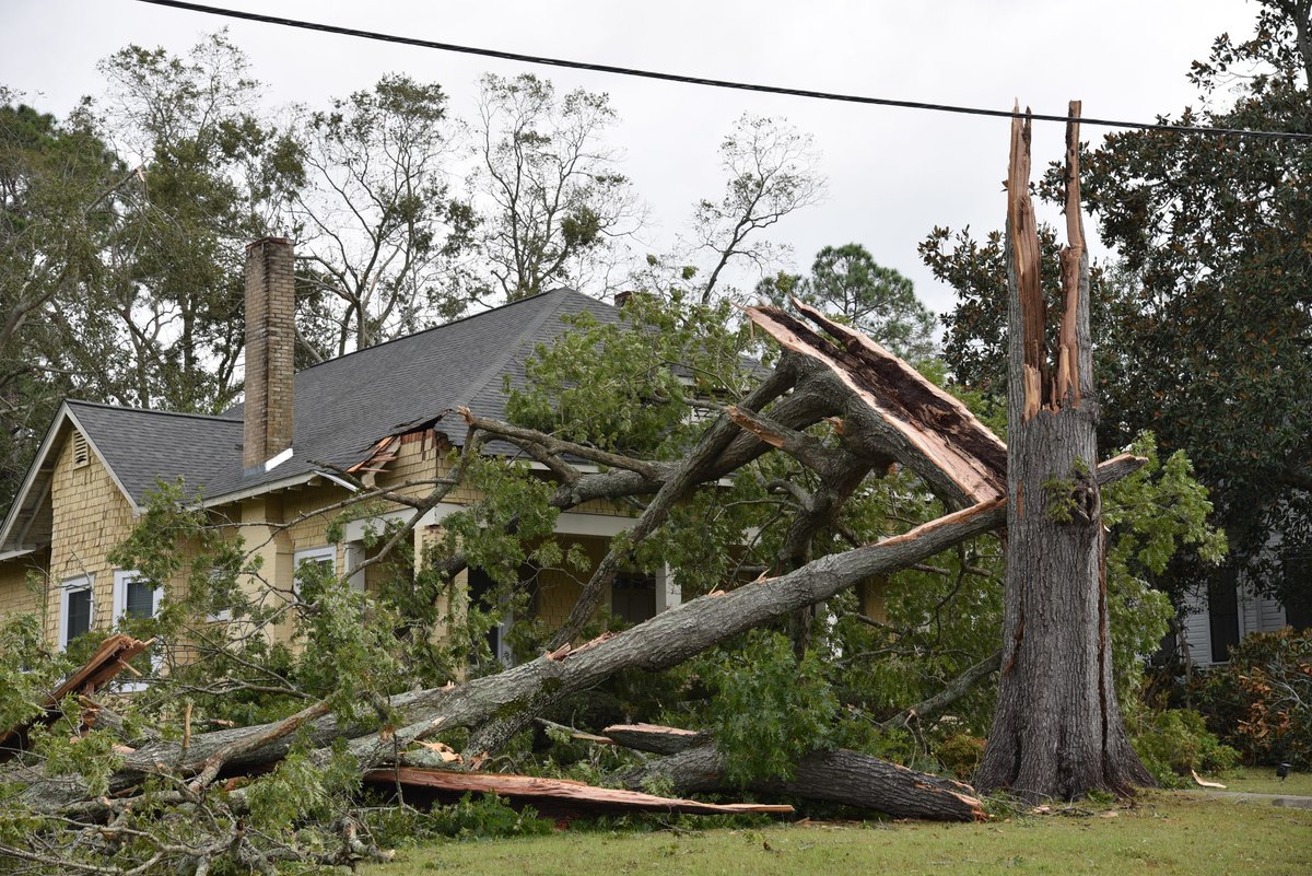 If you are cleaning up after recent flooding, stay safe:

🐍 Be aware that snakes or animals may be in your home
✅ Wear heavy work gloves &amp; boots
💧 Avoid floodwaters that may be contaminated or contain dangerous debris

#DisastersDontWait #Beta #Sally

ow.ly/GtfX50Bzim0