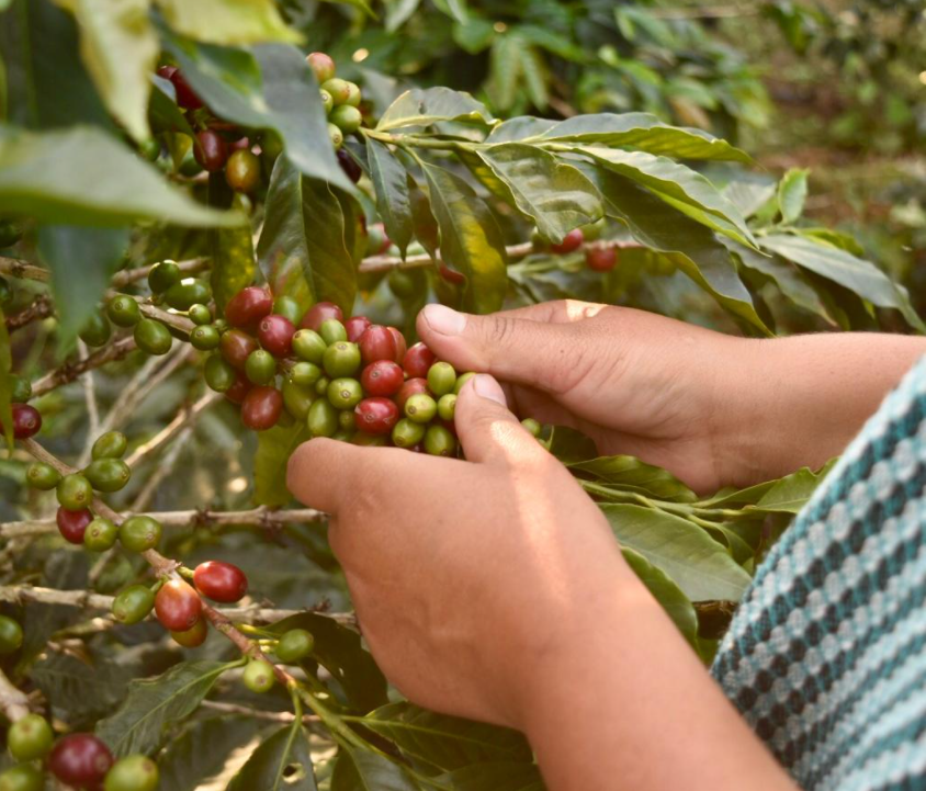 Agencia para la Reincorporación y la Normalización tweet media