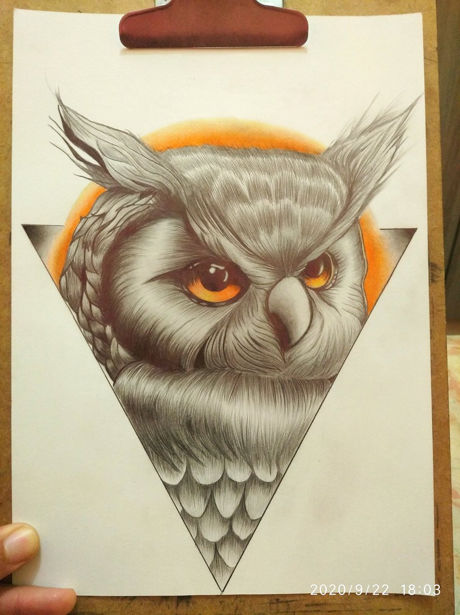 dodx27's tweet photo. Mais um pra firma 🦉
#drawowl #coruja #desenhodoidao https://t.co/mk0hsH0w8z