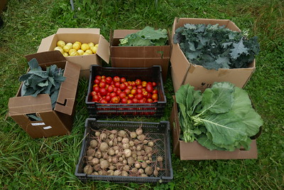 FarmFolk CityFolk tweet media