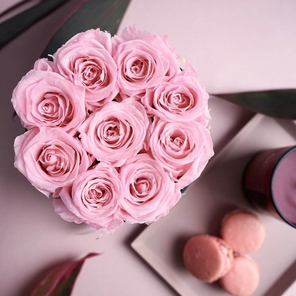 InfinityFlowerB's tweet photo. Your picture is my #mood changer https://t.co/vA2ofIXfZi